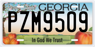 GA license plate PZM9509