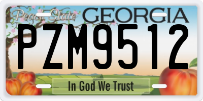 GA license plate PZM9512