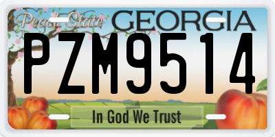 GA license plate PZM9514
