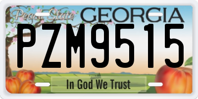 GA license plate PZM9515