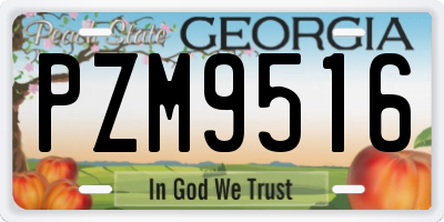 GA license plate PZM9516