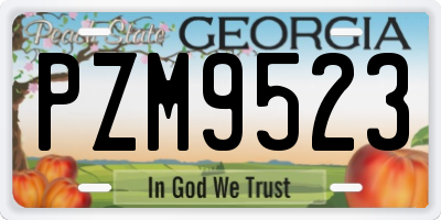 GA license plate PZM9523