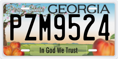 GA license plate PZM9524