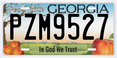 GA license plate PZM9527