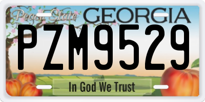 GA license plate PZM9529