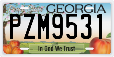 GA license plate PZM9531