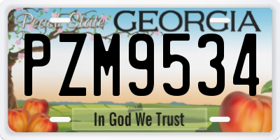 GA license plate PZM9534