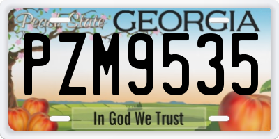 GA license plate PZM9535