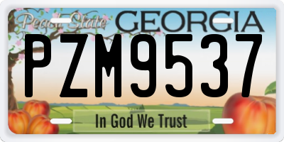 GA license plate PZM9537