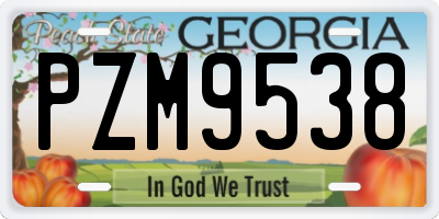 GA license plate PZM9538