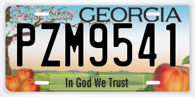GA license plate PZM9541