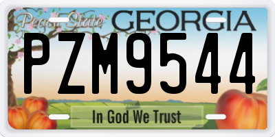 GA license plate PZM9544