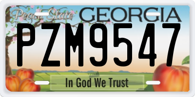 GA license plate PZM9547