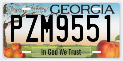 GA license plate PZM9551