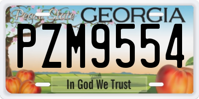 GA license plate PZM9554