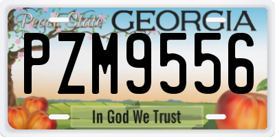 GA license plate PZM9556