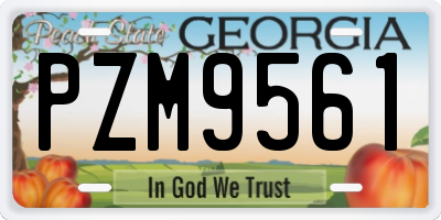GA license plate PZM9561