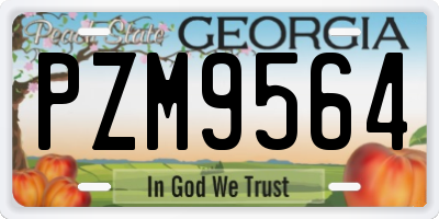 GA license plate PZM9564