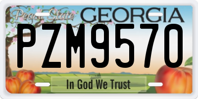 GA license plate PZM9570