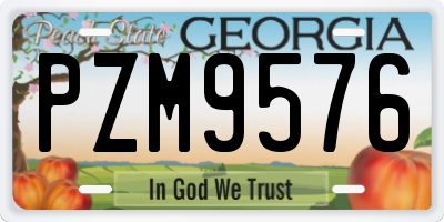 GA license plate PZM9576
