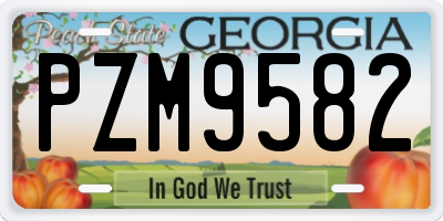 GA license plate PZM9582