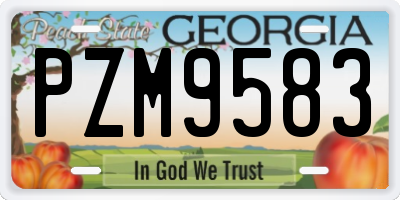 GA license plate PZM9583