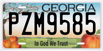 GA license plate PZM9585