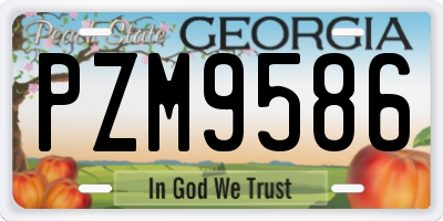 GA license plate PZM9586
