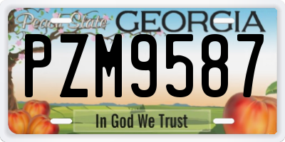GA license plate PZM9587