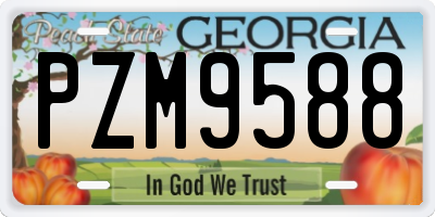 GA license plate PZM9588