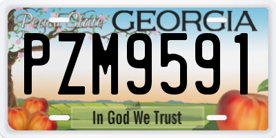 GA license plate PZM9591
