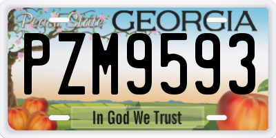 GA license plate PZM9593