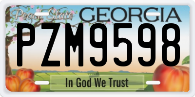 GA license plate PZM9598