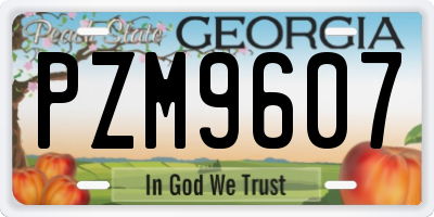 GA license plate PZM9607