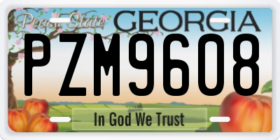 GA license plate PZM9608