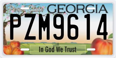 GA license plate PZM9614