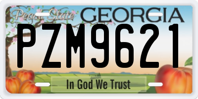 GA license plate PZM9621
