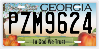 GA license plate PZM9624
