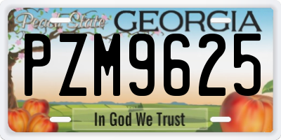 GA license plate PZM9625