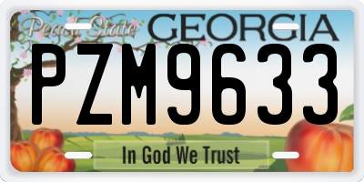 GA license plate PZM9633