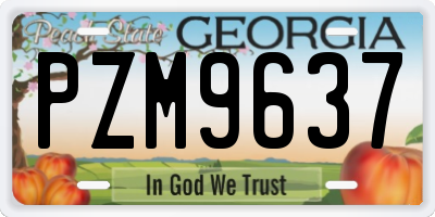 GA license plate PZM9637