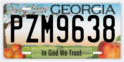 GA license plate PZM9638