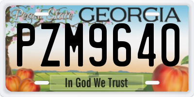 GA license plate PZM9640