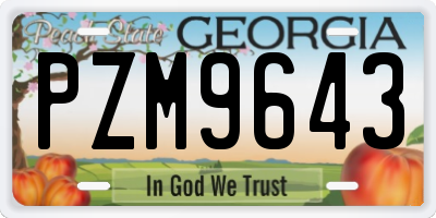 GA license plate PZM9643