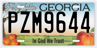 GA license plate PZM9644