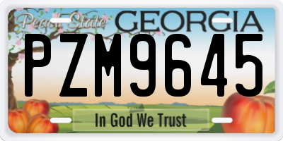 GA license plate PZM9645