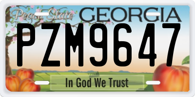 GA license plate PZM9647