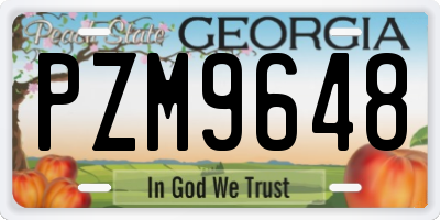 GA license plate PZM9648