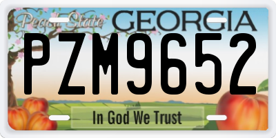 GA license plate PZM9652