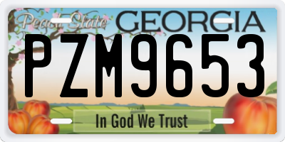 GA license plate PZM9653